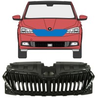 Režģis priekš Skoda Fabia 2018-2021 16214